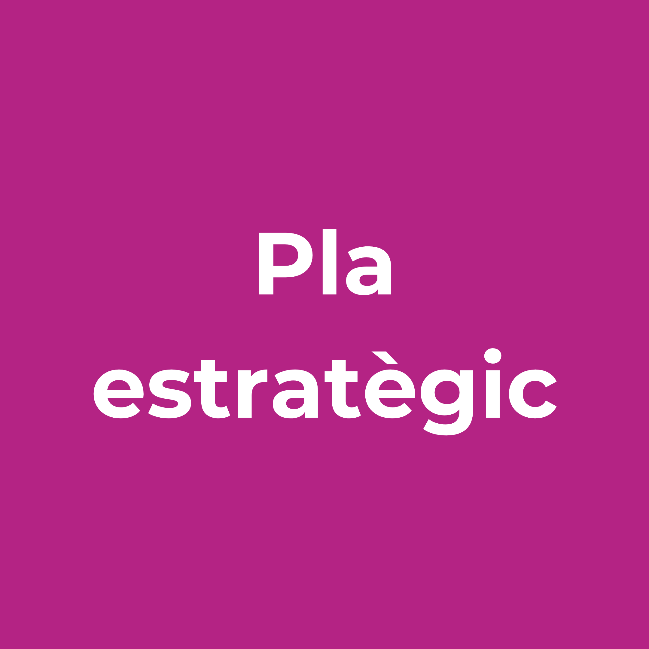 Pla_Estretegic