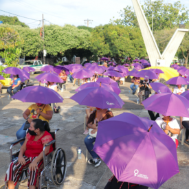Imatge d'una plantada de la OFP, on es veuen moltes dones amb paraigües violeta oberts
