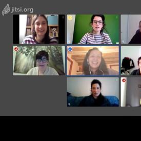Captura de pantalla de la videoconferència amb les diferents entitats participants de la reunió virtual